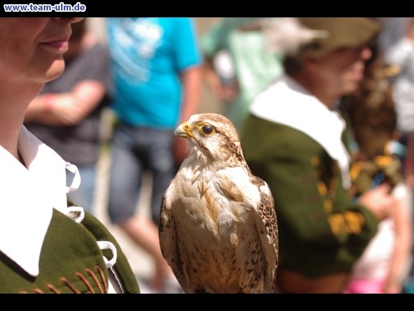 Wallenstein 2016 – Einzug @ Memmingen - Bild 63