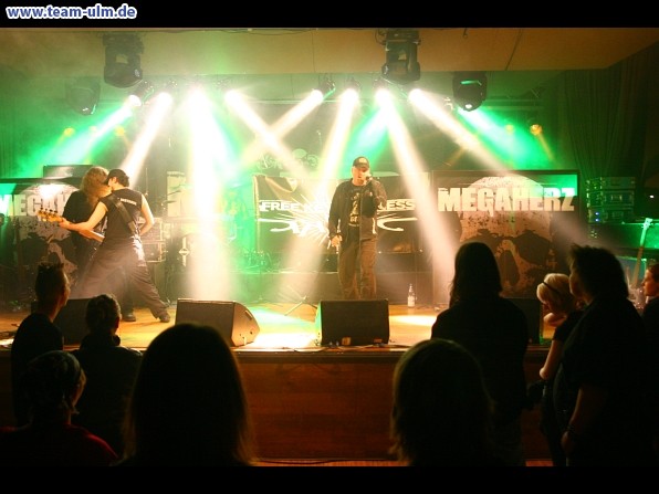 Megaherz @ Nersingen - Bild 17