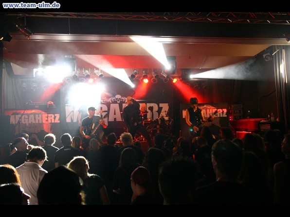 Megaherz @ Nersingen - Bild 72