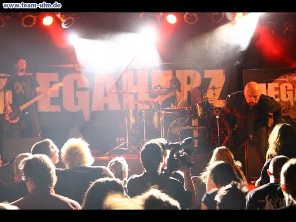 Megaherz @ Nersingen - Bild 76