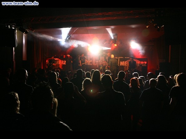 Megaherz @ Nersingen - Bild 78