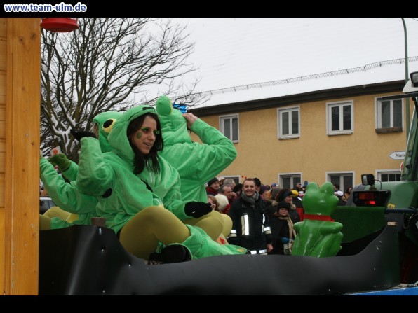 Faschingsumzug @ Pfaffenhofen - Bild 22