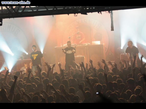 K.I.Z. - Sexismus gegen Rechts Tour  @ Roxy - Bild 122
