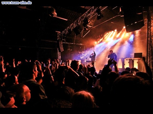 K.I.Z Urlaub f&uuml;rs Gehirn @ Roxy - Bild 13