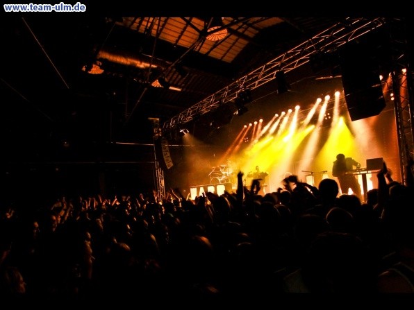 K.I.Z Urlaub f&uuml;rs Gehirn @ Roxy - Bild 21