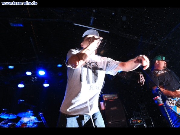 Pennywise @ Roxy - Bild 48