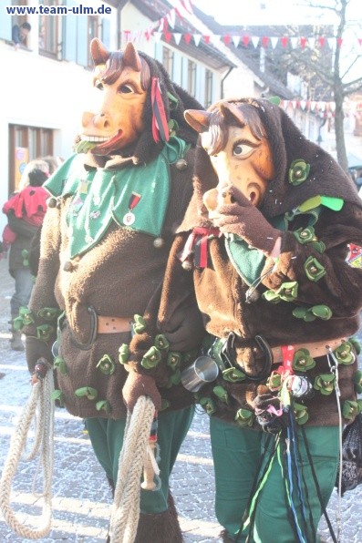 Fasnet @ Schelklingen - Bild 227