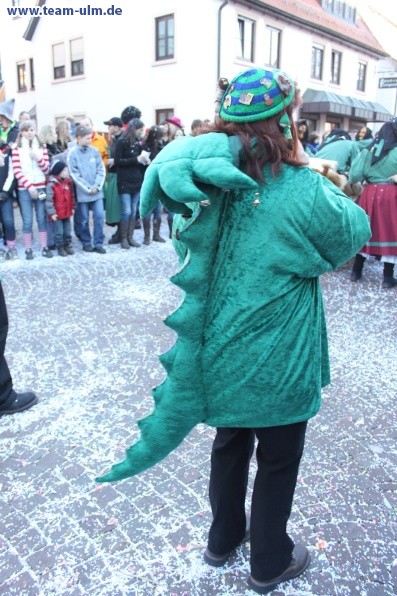 Faschingsumzug @ Schelklingen - Bild 19