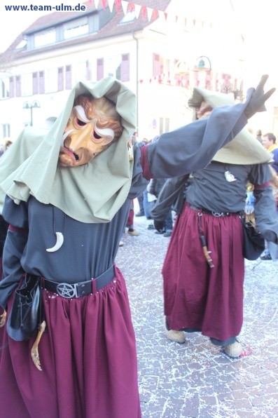 Faschingsumzug @ Schelklingen - Bild 34
