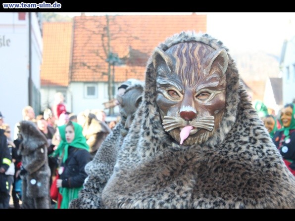 Faschingsumzug @ Schelklingen - Bild 9