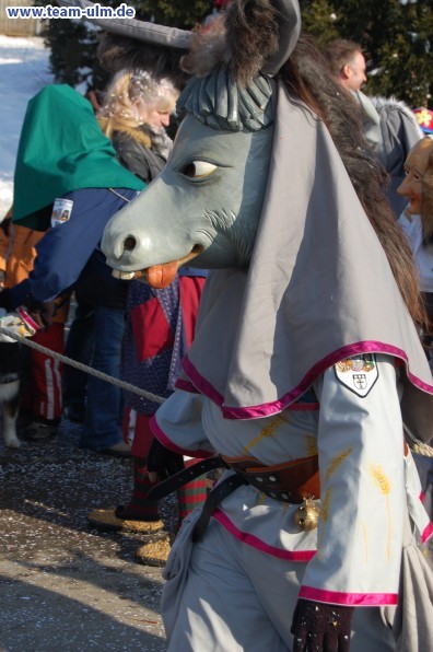 Faschingsumzug @ Stetten - Bild 11
