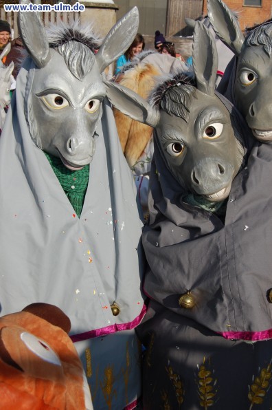 Faschingsumzug @ Stetten - Bild 14