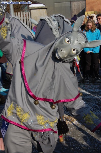 Faschingsumzug @ Stetten - Bild 15