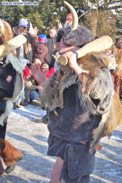 Faschingsumzug @ Stetten - Bild 172