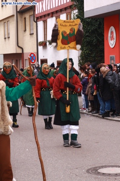 Narrensprung @ Ulm-City - Bild 189