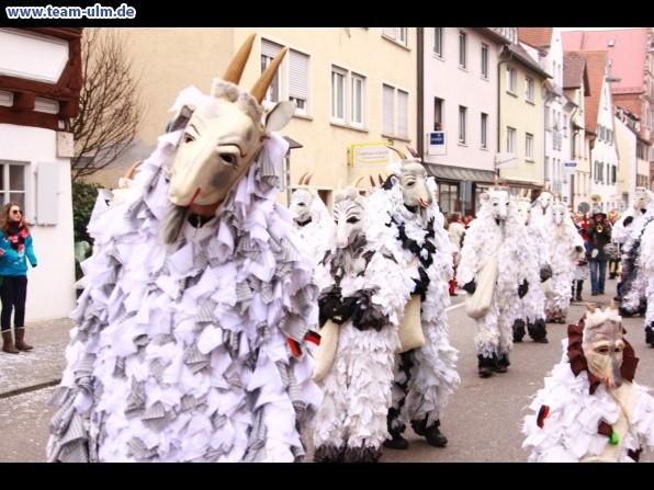 Narrensprung @ Ulm-City - Bild 288
