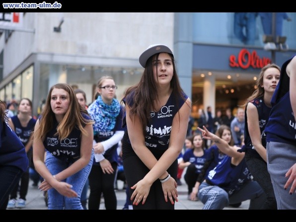 Welttanztag 2013 @ Ulm-City - Bild 11