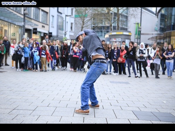 Welttanztag 2013 @ Ulm-City - Bild 28
