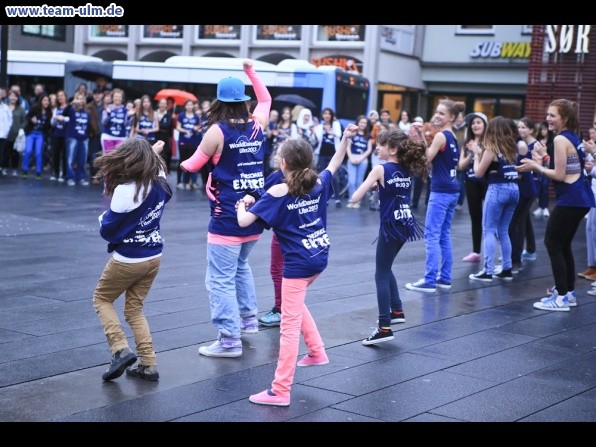 Welttanztag 2013 @ Ulm-City - Bild 37