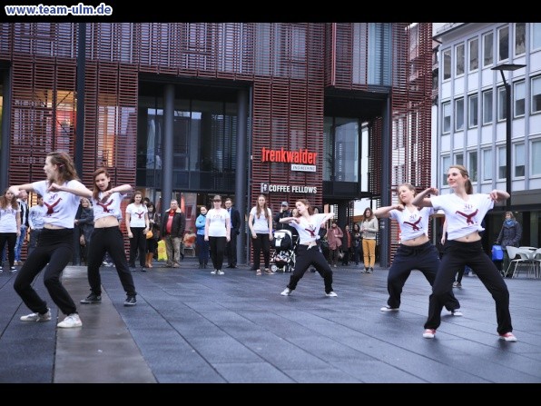 Welttanztag 2013 @ Ulm-City - Bild 60