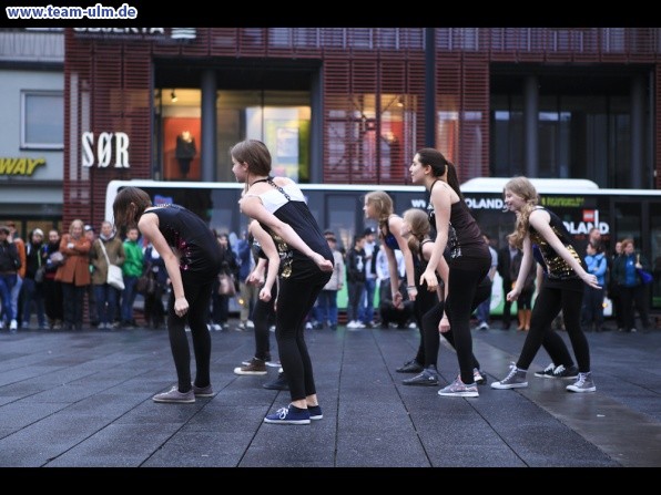 Welttanztag 2013 @ Ulm-City - Bild 68