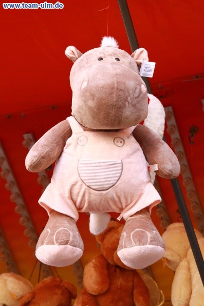 Volksfest @ Ulm - Bild 5