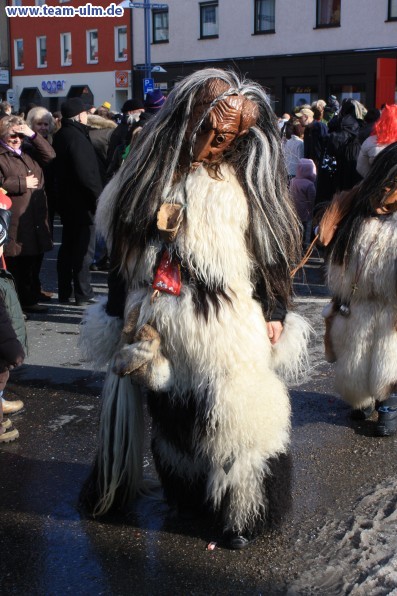 Faschingsdienstagsumzug @ Ulm - Bild 28