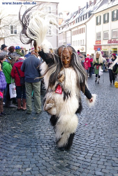 Faschingsdienstagsumzug @ Ulm - Bild 89