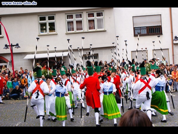 Fischerstechen @ Ulm - Bild 47