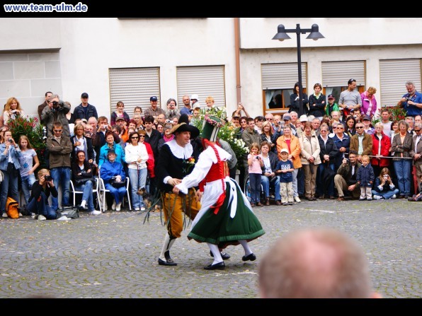 Fischerstechen @ Ulm - Bild 49
