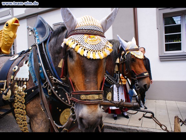 Fischerstechen @ Ulm - Bild 61