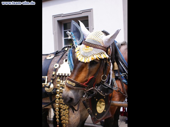 Fischerstechen @ Ulm - Bild 62