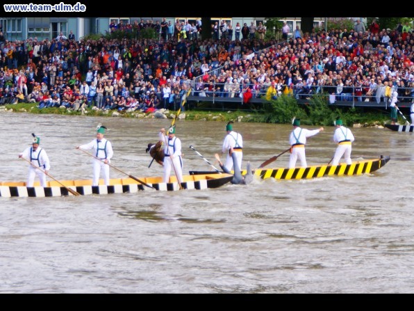 Fischerstechen @ Ulm - Bild 88