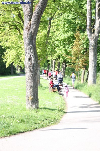 Vorbereitungslauf Einsteinmarathon @ Ulm - Bild 17