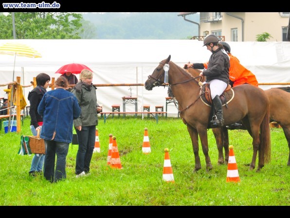 Reitertag @ Unterroth - Bild 11