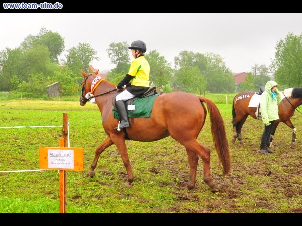 Reitertag @ Unterroth - Bild 16