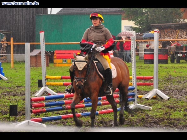 Reitertag @ Unterroth - Bild 20