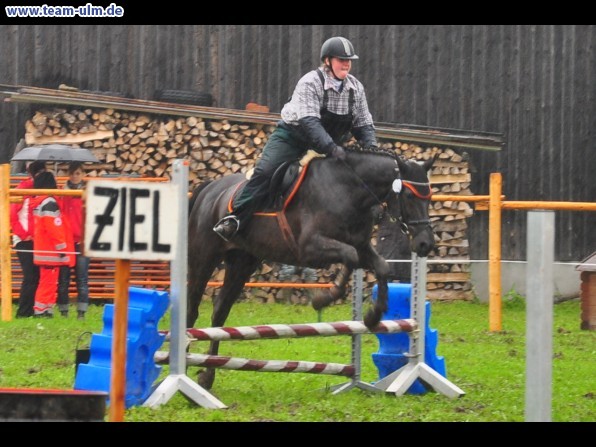 Reitertag @ Unterroth - Bild 22
