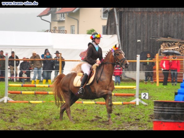 Reitertag @ Unterroth - Bild 28