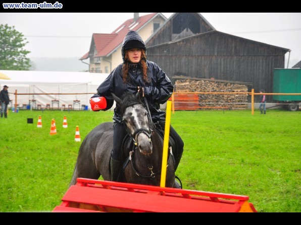 Reitertag @ Unterroth - Bild 37