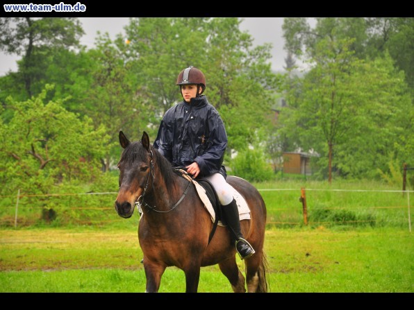 Reitertag @ Unterroth - Bild 38