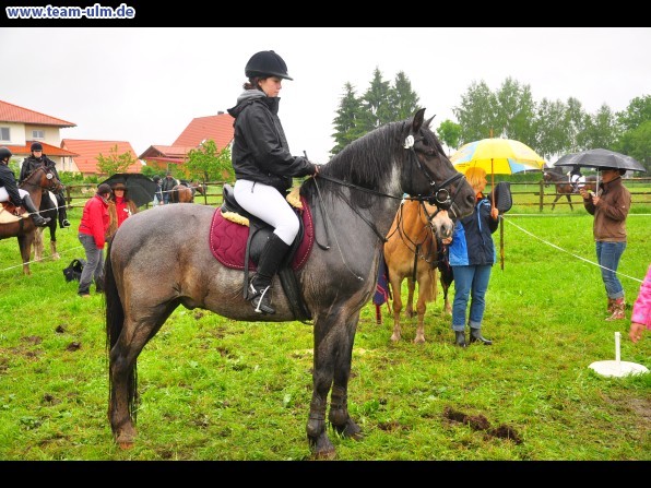 Reitertag @ Unterroth - Bild 39