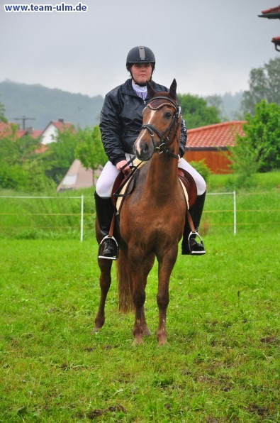 Reitertag @ Unterroth - Bild 41