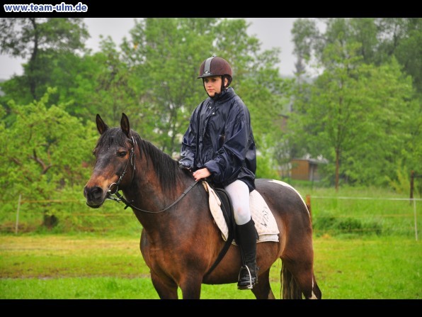 Reitertag @ Unterroth - Bild 45