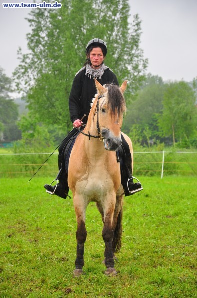 Reitertag @ Unterroth - Bild 48
