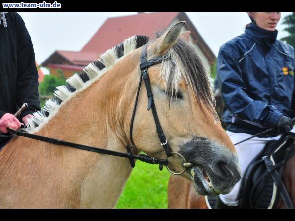 Reitertag @ Unterroth - Bild 49