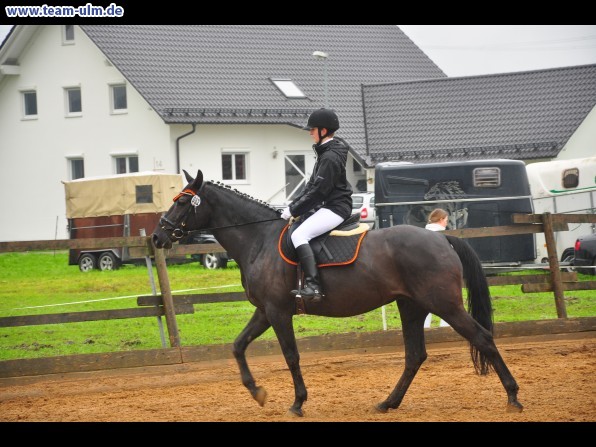 Reitertag @ Unterroth - Bild 55