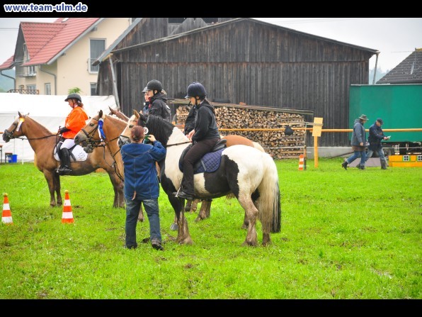 Reitertag @ Unterroth - Bild 63