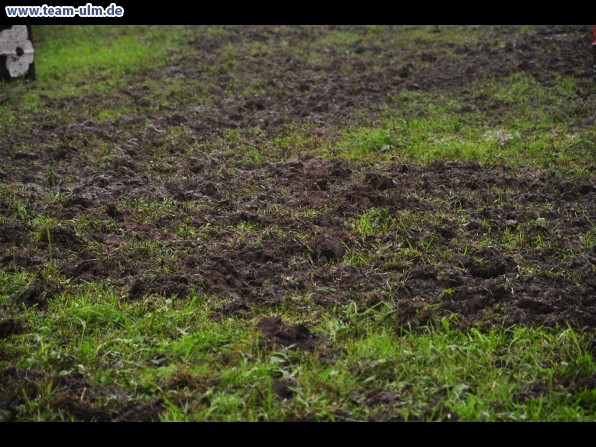 Reitertag @ Unterroth - Bild 65