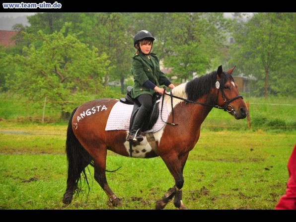 Reitertag @ Unterroth - Bild 68
